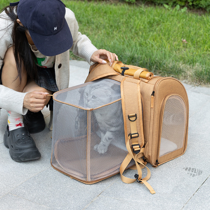 Portable cat bag, expandable l – Foldable Backpack Small Bewertung und Preis