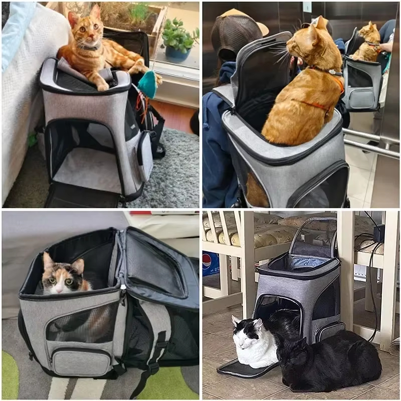 Cat Bag Outdoor Portable Cat B – Foldable Backpack Small Bewertung und Preis