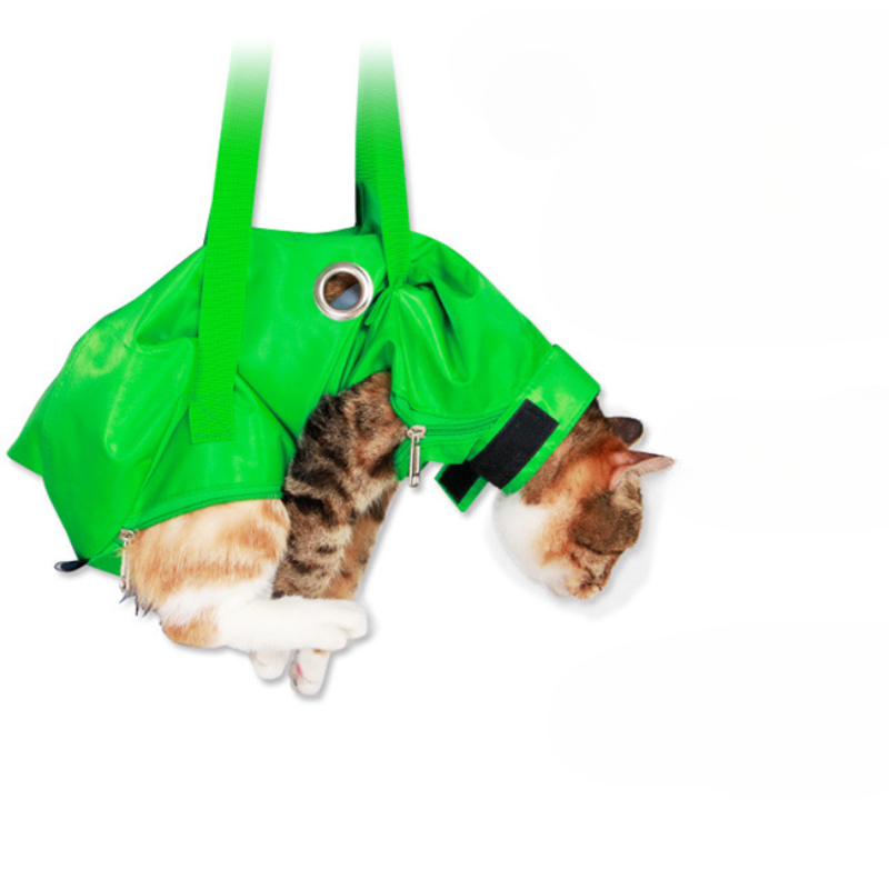 Portable Cat Backpack Pet Summ – Foldable Backpack Small Bewertung und Preis