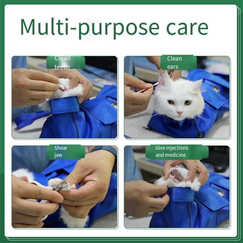 Portable Cat Backpack Pet Summ – Foldable Backpack Small Bewertung und Preis